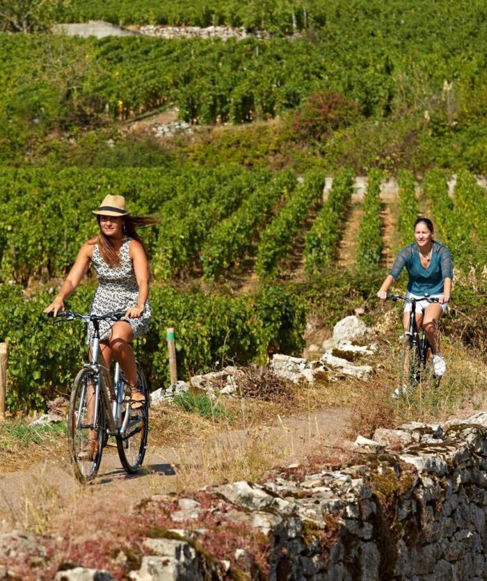 La Route des Vins, en évasion