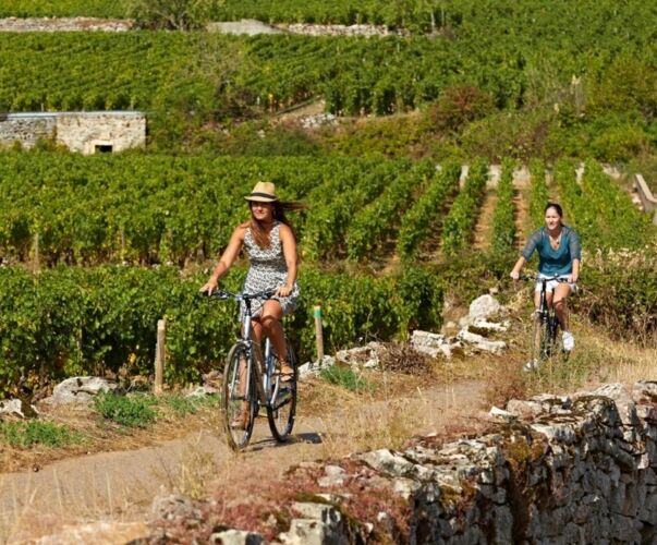 Château de Maubreuil lanza nuevas estancias enológicas todo incluido Château de Maubreuil