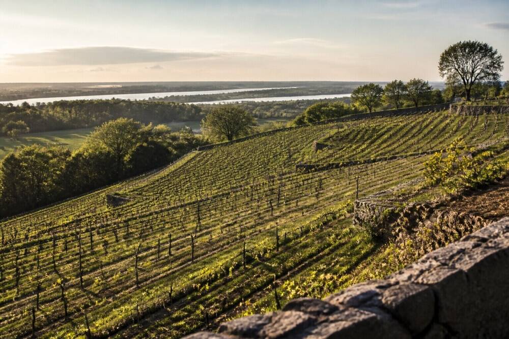 The Wine Route Escape